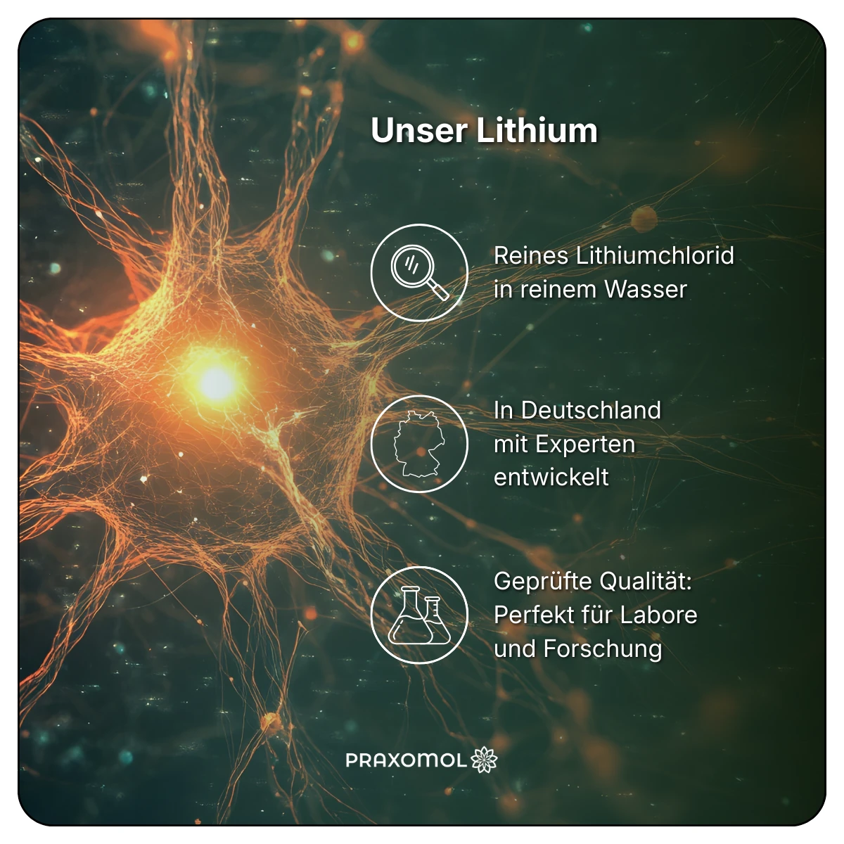 Lithium Tropfen 0,5mg – Bild 3