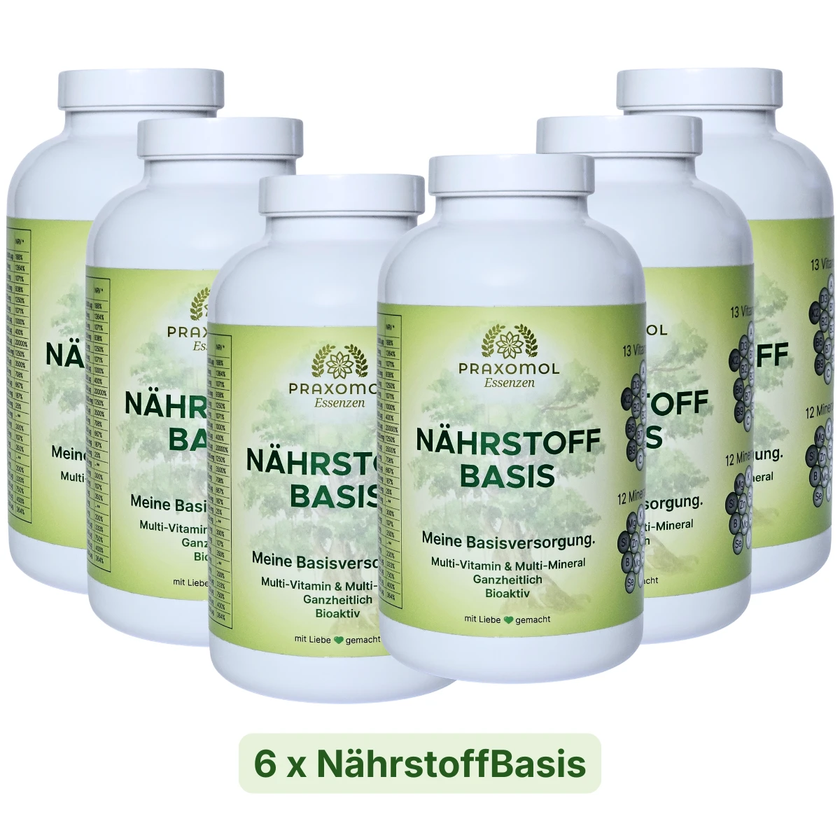 6x NährstoffBasis
